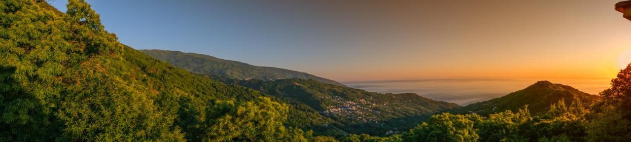 קיסוס A Dream Deferred Villa Pelion מראה חיצוני תמונה